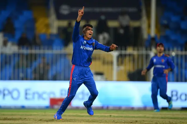 cricket