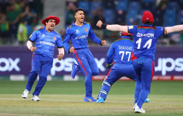 cricket