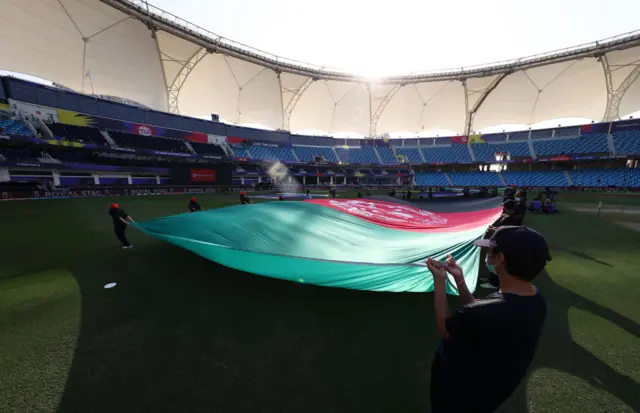 cricket