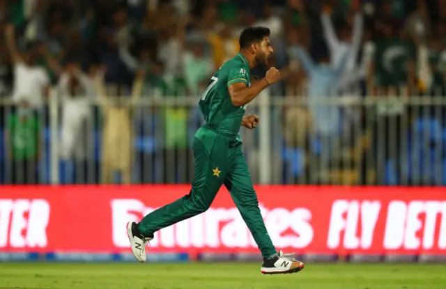 cricket