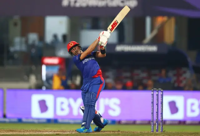 cricket