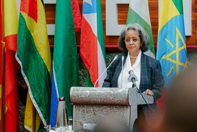 ፕረዚደንት ሳህለወርቅ ዘውዴ