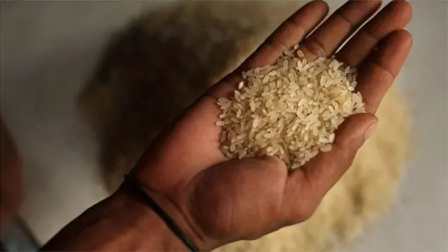 Shinkafa