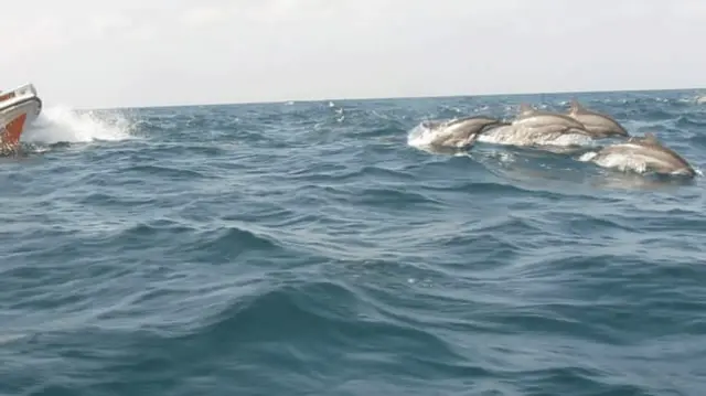 இலங்கை