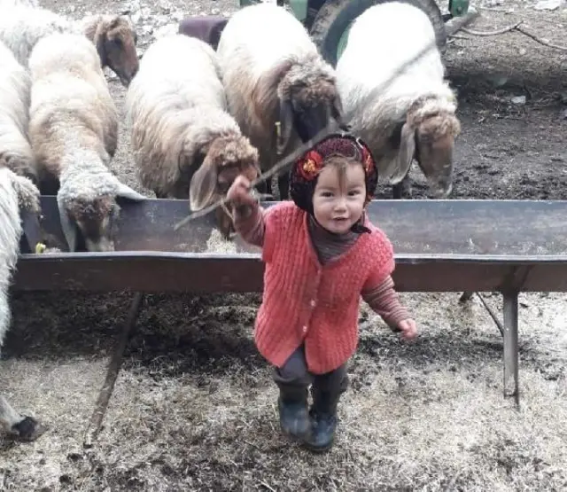 Müslüme Yağal