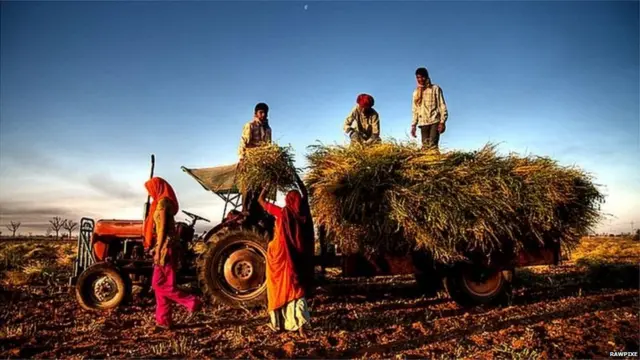 किसान