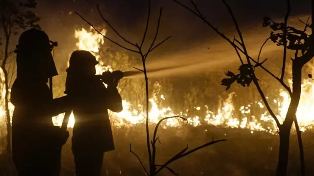 जंगलों में आग