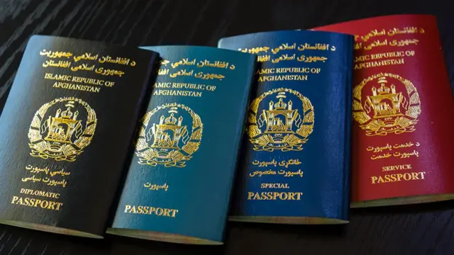 پاسپورت
