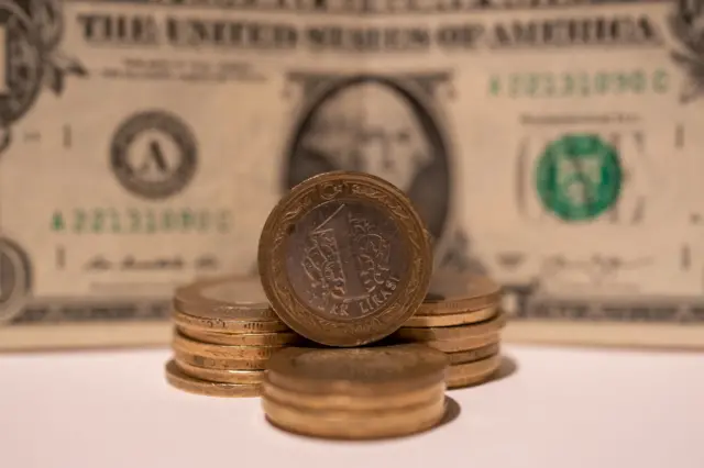 dolar tl