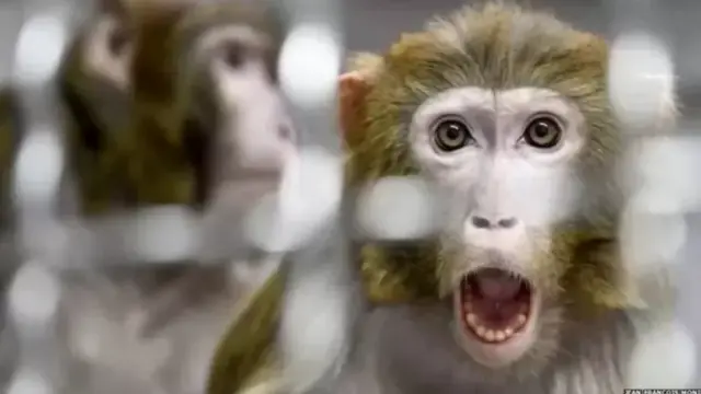 மகராஷ்டிரா