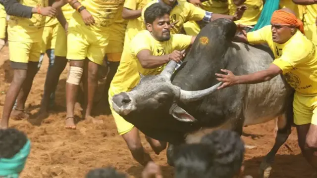 ஒமிக்ரான் பரவல் அதிகமானால் ஜல்லிக்கட்டு நடக்காது - சட்டத்துறை அமைச்சர் ரகுபதி பேட்டி