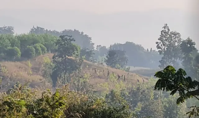 မဲ့ထော်သလေးရွာ မှာ တိုက်ပွဲထပ်ဖြစ်