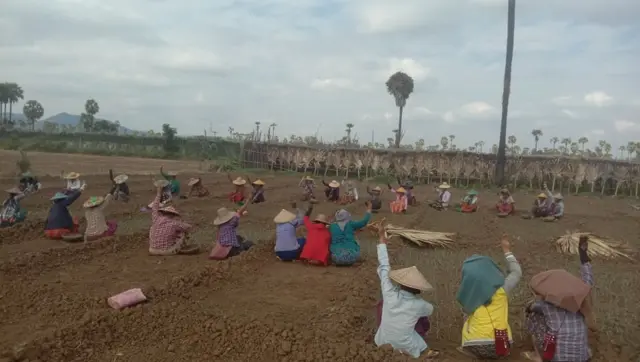 ကြက်သွန်စိုက်ရင်း  အာဏာသိမ်းမှုကို ဆန့်ကျင်ကြောင်း ဆန္ဒဖော်ထုတ်နေကြတဲ့ ဆားလင်းကြီးဒေသခံတွေ