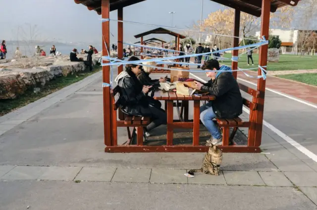 Normalleşmeye geçilmesini şehirlerin koronavirüs riskine göre renklere ayrılması belirleyecek