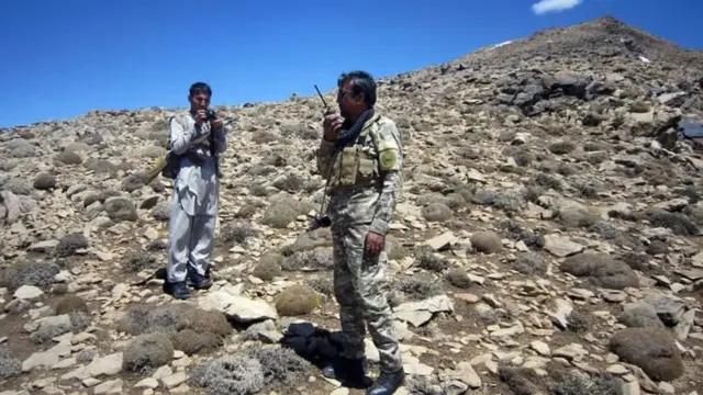 فرمانده شمشیر