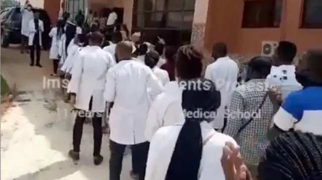 Ụmụakwụkwọ dọkịta IMSU