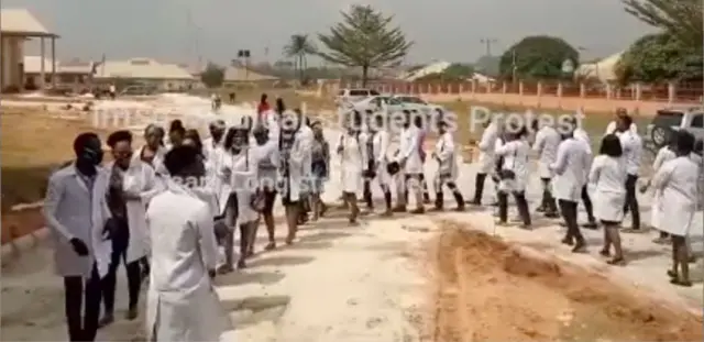 ụmụakwụkwọ