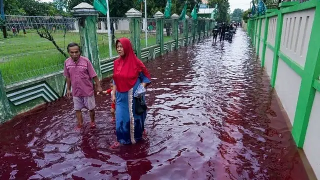 इंडोनेशिया का गांव