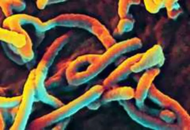 Miezi mitatu iliyopita DRC ilitangazwa kuwa imefanikiwa kuutokomeza mlipuko wa 11 wa Ebola