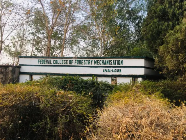 Ụlọakwụkwọ Forestry