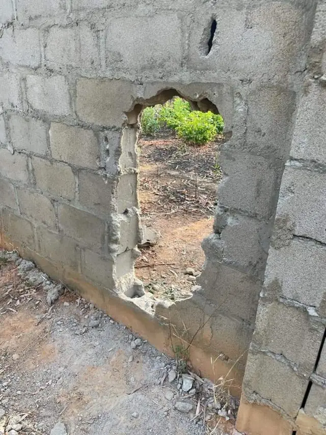 Mbidi ụlọakwukwọ forestry