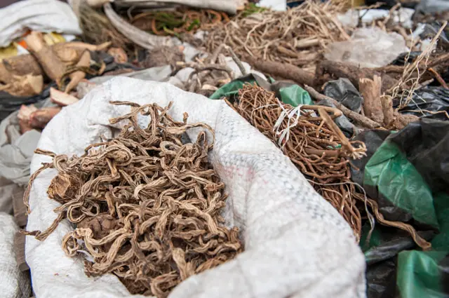 Magungunan gargajiya