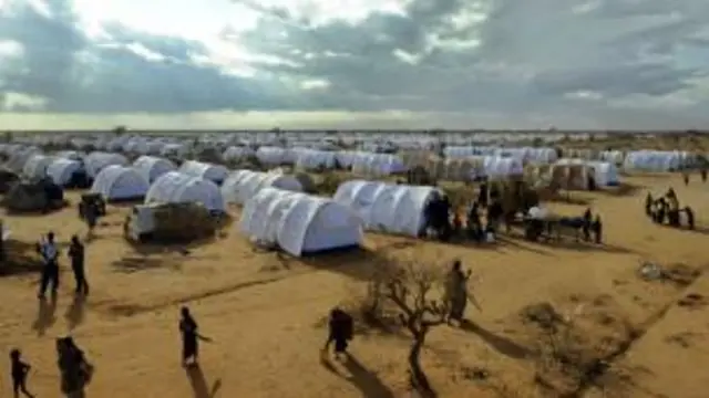 Kambi ya Dadaab