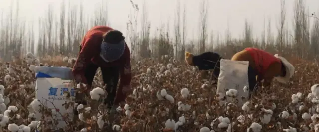 चीन वीगर मुसलमान