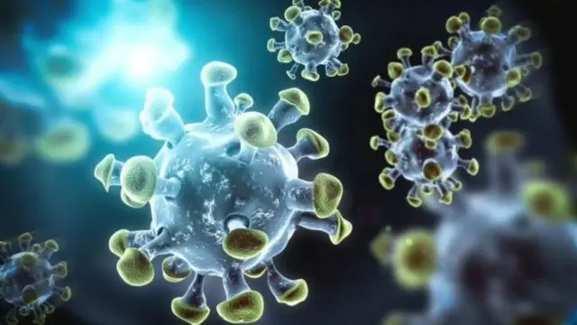 कोरोना वायरस