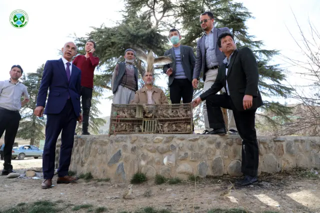 افغانستان