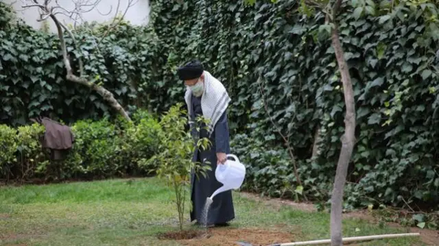 درختکاری رهبر ایران