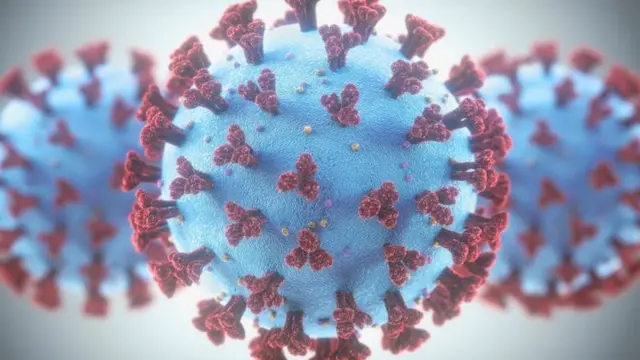 कोरोना