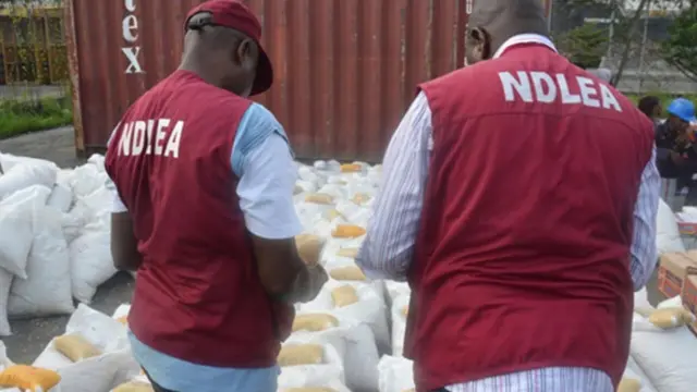 NDLEA