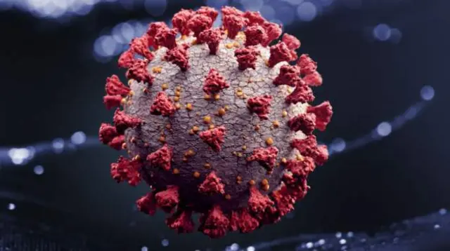 virus