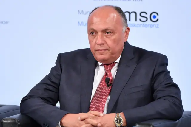 سامح شكري