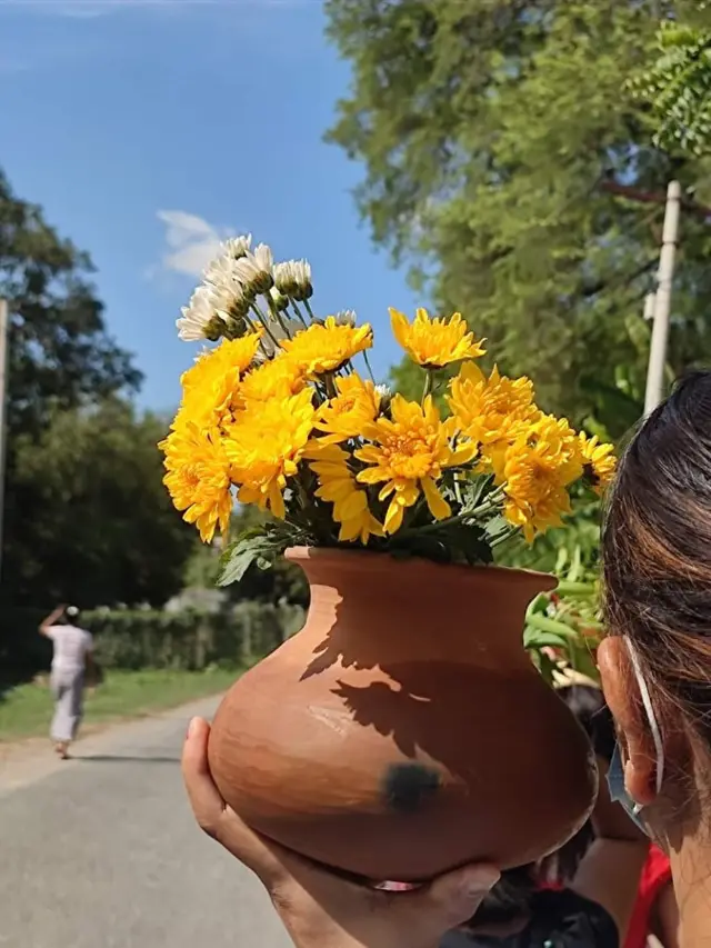 ပလိပ်ညောင်ရေသွန်းပွဲတော်