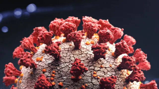 Virus