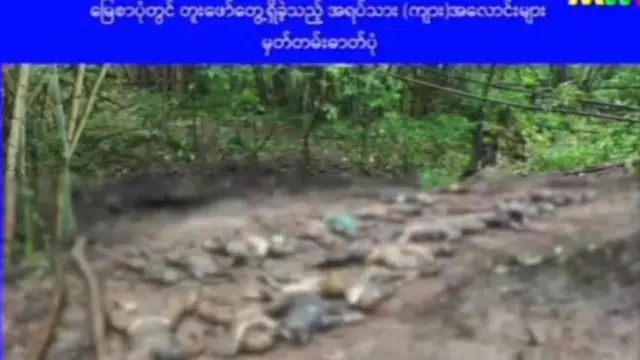 စစ်ကောင်စီရုပ်သံက ထုတ်ပြန်သွားသည့် သတင်းဓာတ်ပုံ