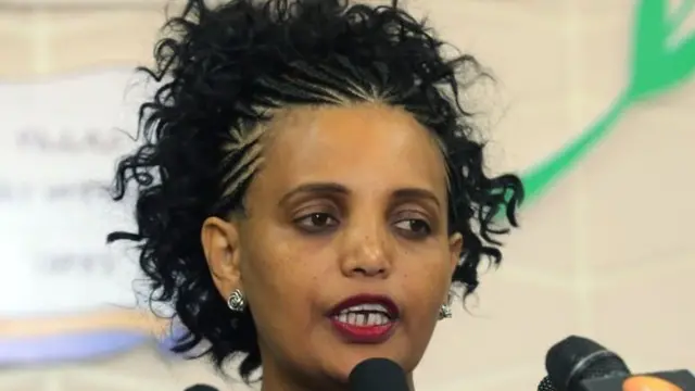 ብርቱካን ሚደቅሳ