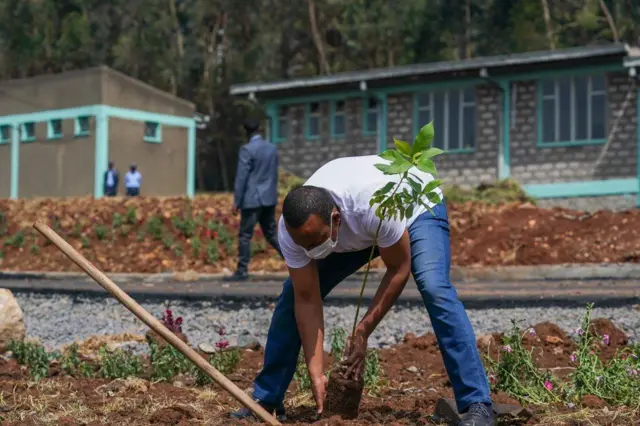 ጠቅላይ ሚኒስትር አብይ ችግኝ ሲተክሉ