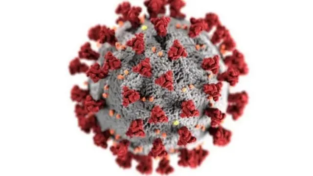 virus