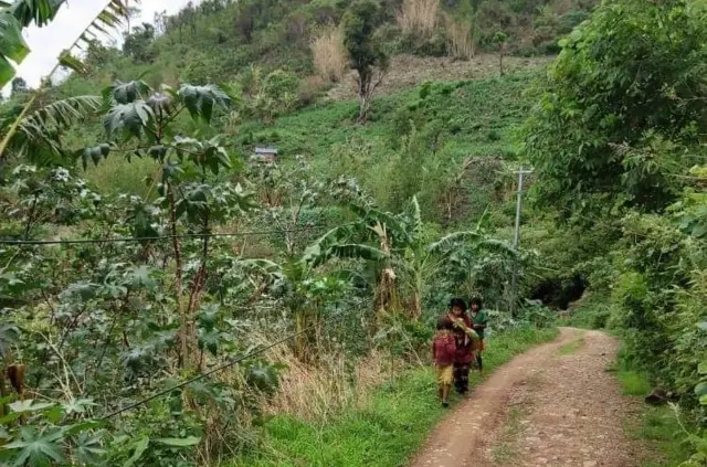 မင်းတပ်က စစ်ဘေးရှောင်အချို့