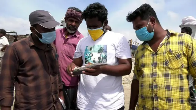 மீன்கள்