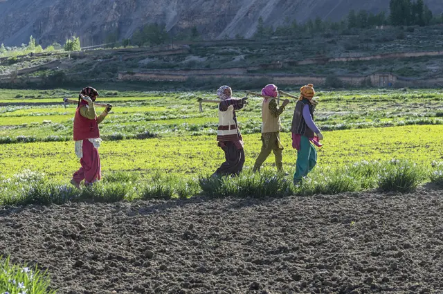हिमाचल
