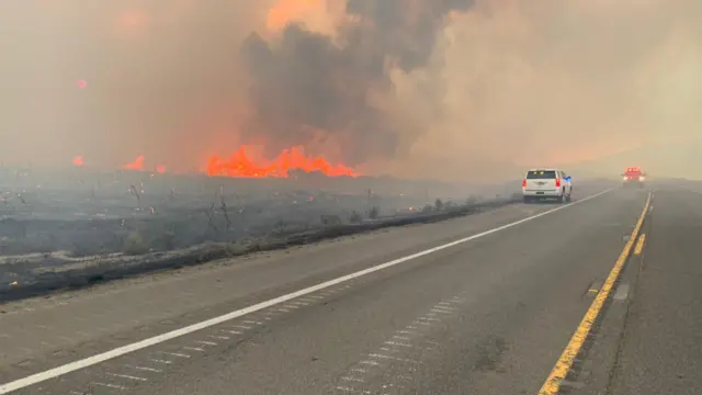 जंगलों में लगी आग