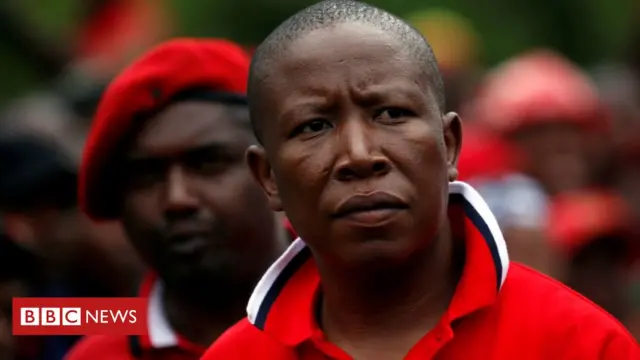 mALEMA