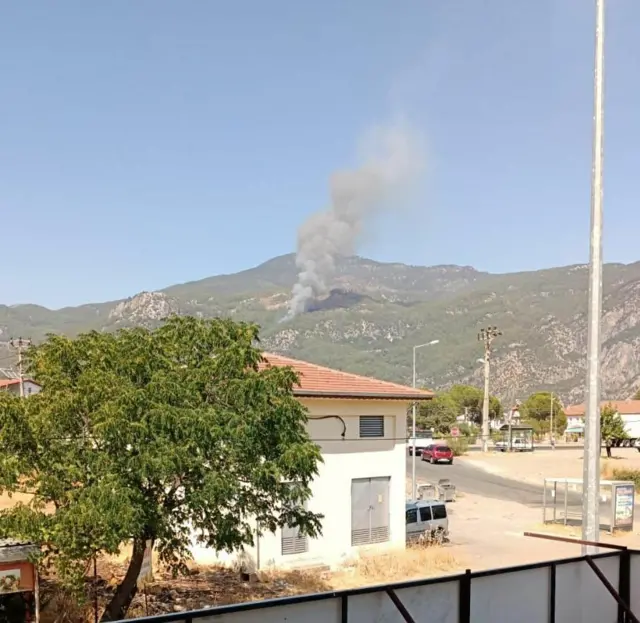 Köyceğiz