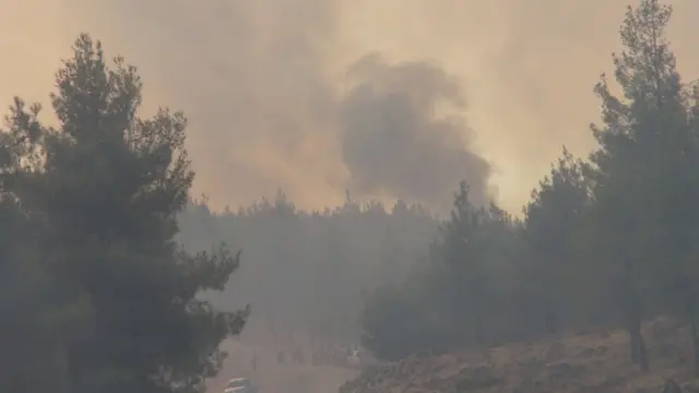 Kilis'te orman yangını