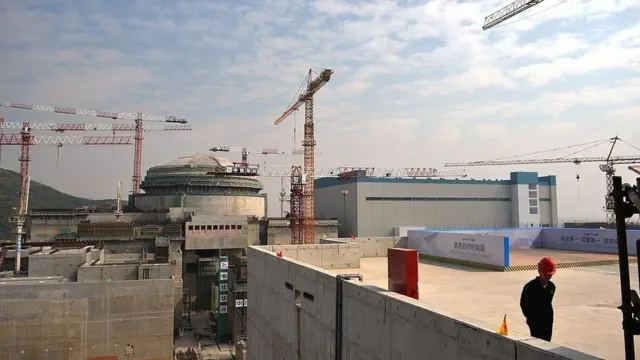 चीन प्लांट