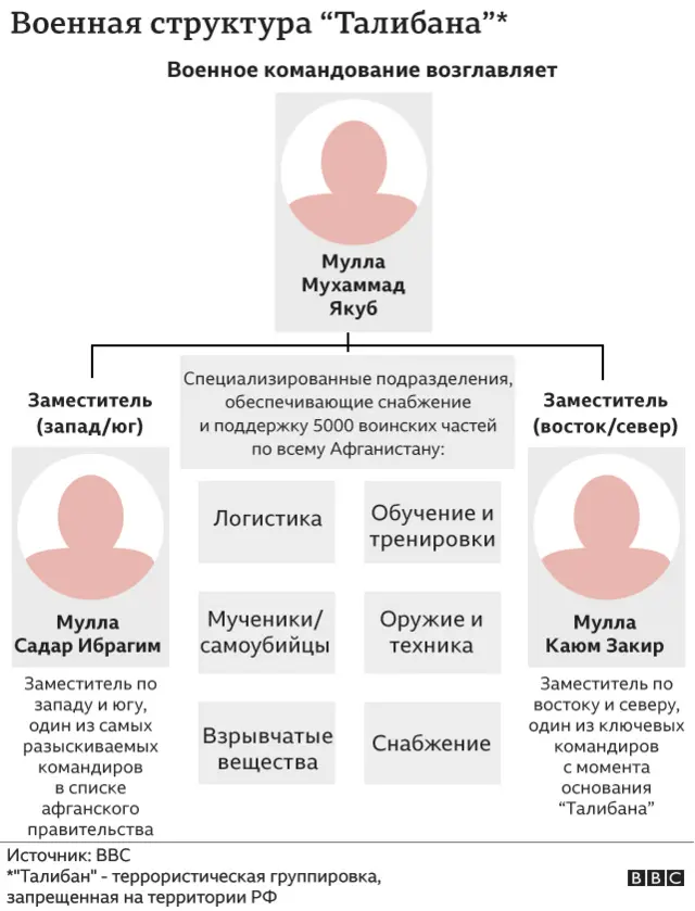 структура Талибана